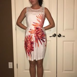 sandra darren white floral dress.